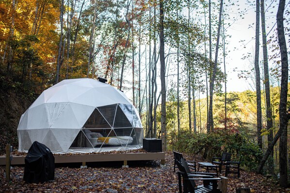 A geodesic dome tent with a bed inside, surrounded by a forest.