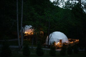 Exterior - ✨🥂 Glamping Dome with Full Bath, Kitchen, Fire Pit, & Grill (Cosby)