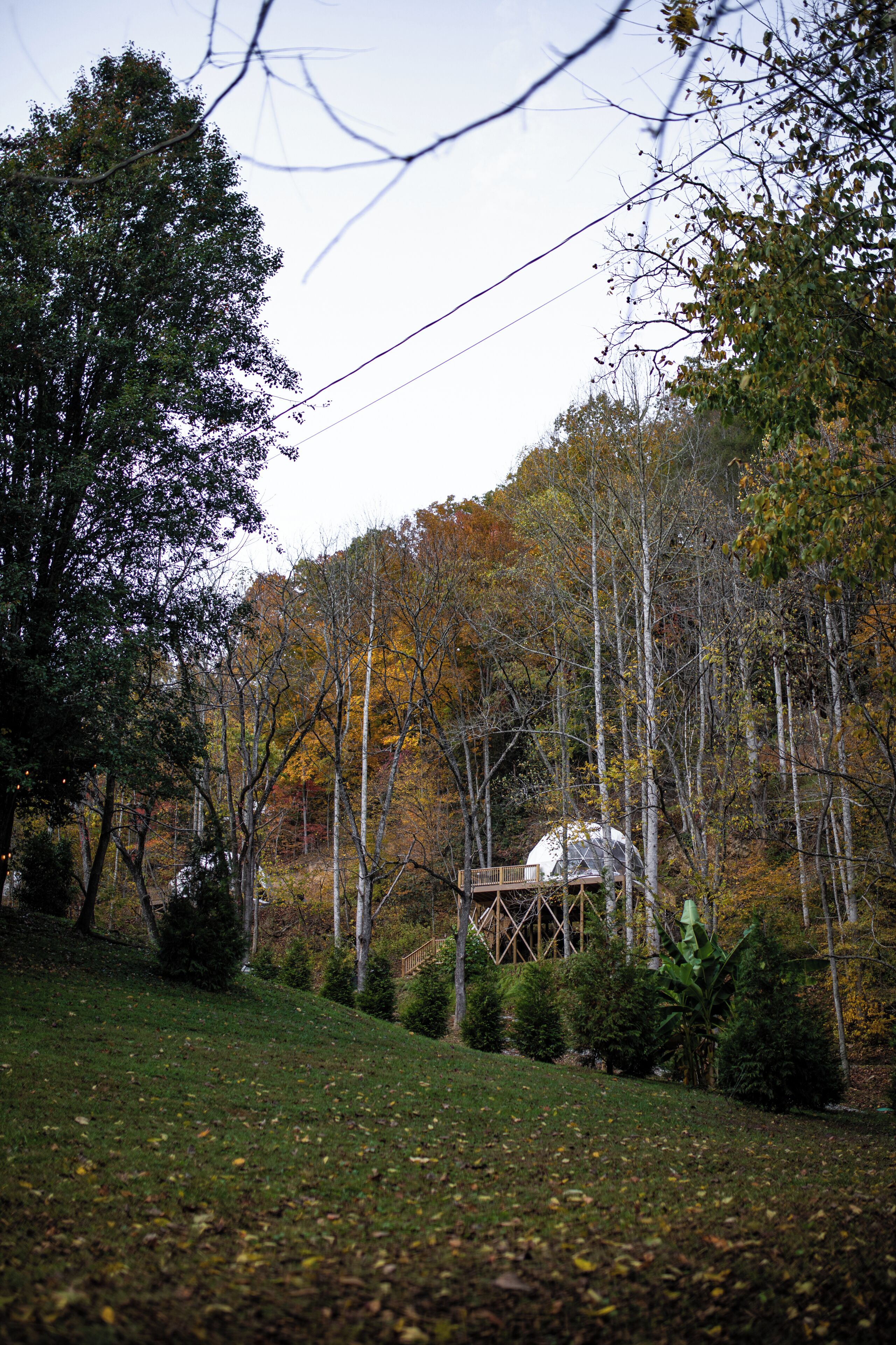 📚😇 GLAMPING DOME WITH PRIVATE BATHROOM AND HOT TUB! Reviews