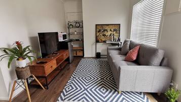 Smart TV, Netflix, streaming services