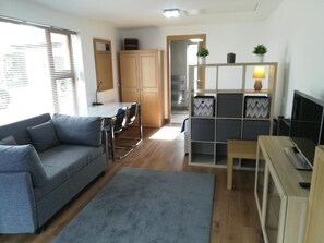 Smart TV, fireplace, books