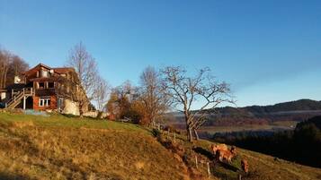 Ulkopuoli