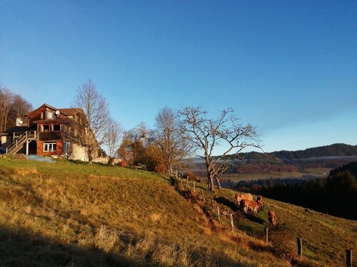 Nature and hiking cottage; Tendon waterfalls 7 km, Gerardmer 20 km