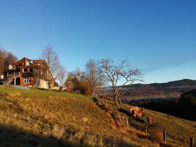Nature and hiking cottage; Tendon waterfalls 7 km, Gerardmer 20 km
