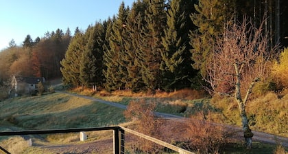 Nature and hiking cottage; Tendon waterfalls 7 km, Gerardmer 20 km