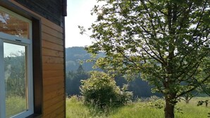 Una cabaña de madera con un ventanal grande que da a un campo lleno de hierba y árboles.