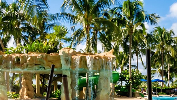 A poolside view with three drinks in front of a water slide and palm trees.