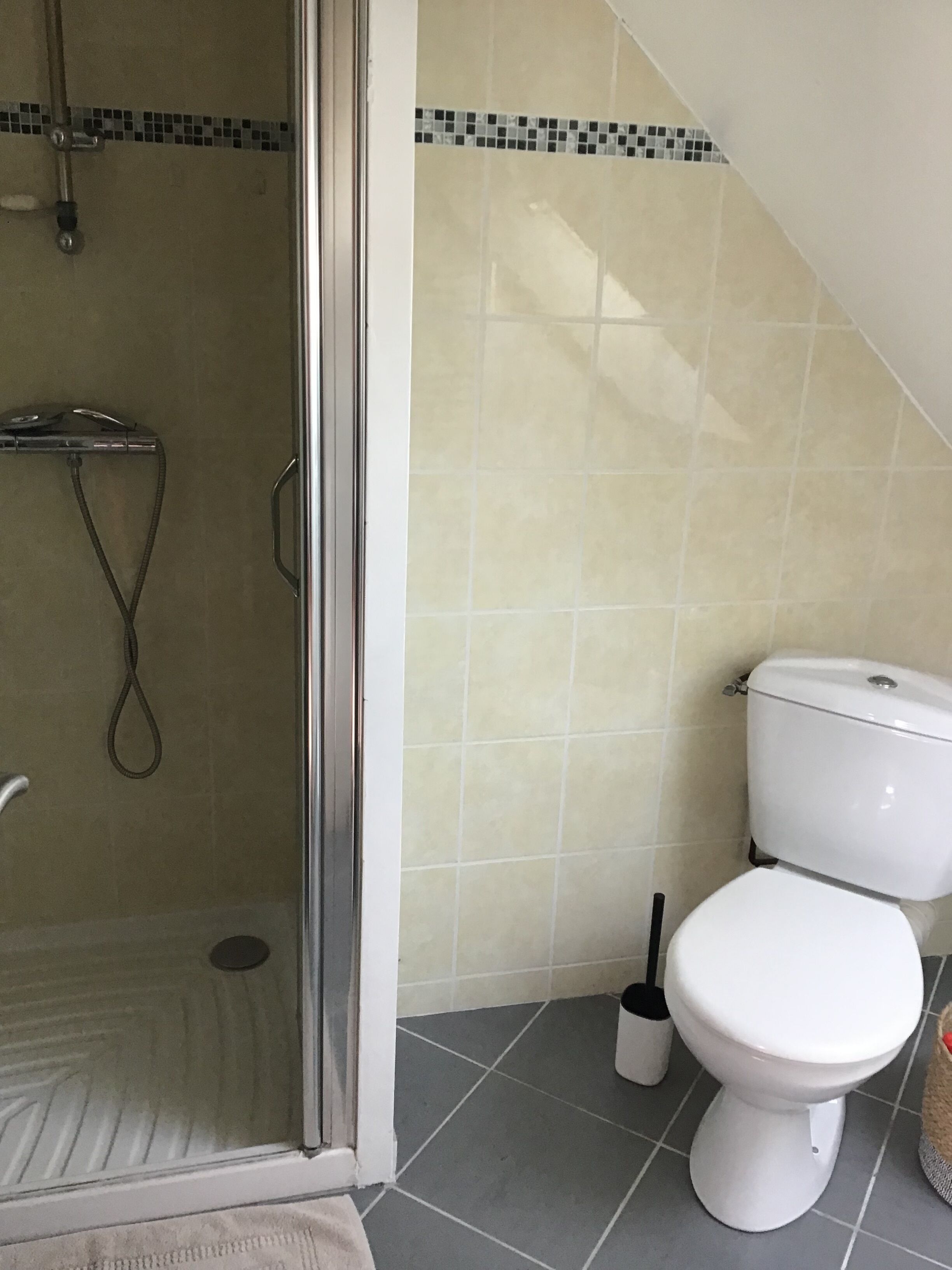 Une salle de bain avec une douche, des toilettes et un carrelage au sol.
