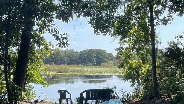 A lakeside setting with a bench and chairs near the water, surrounded by trees. - Waterfront Retreat with Kayaks (Inverness)