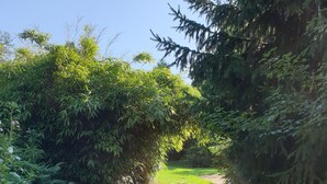 A pathway through a lush garden with dense foliage on either side. - Superb character house entirely renovated for your pleasure. (Monthermé)