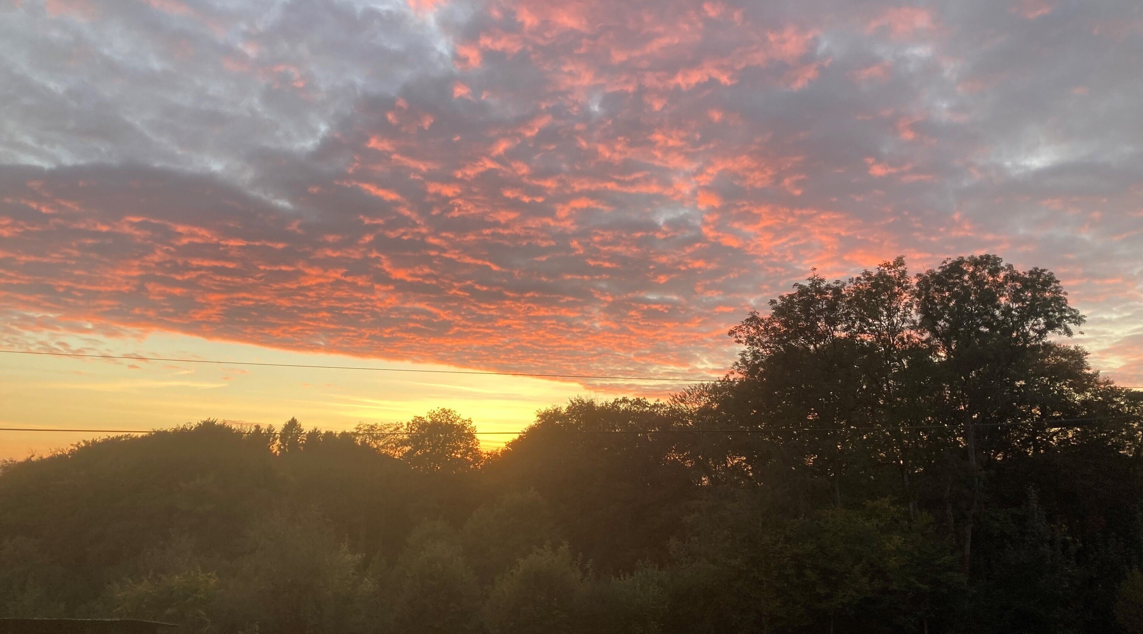 A sunset with a tree silhouetted against a sky with pink and orange clouds.