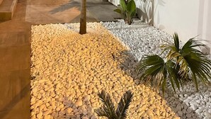 Un espacio exterior moderno con un sendero, palmeras y una pared blanca.
