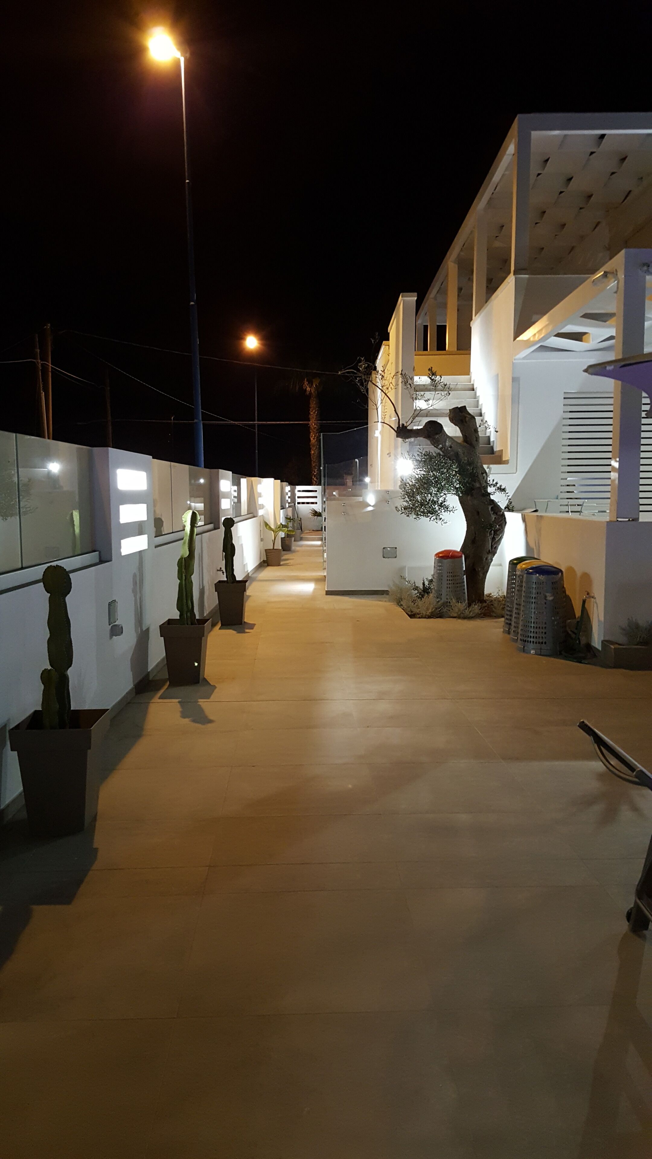 A nighttime outdoor area with a concrete floor, potted cacti, and a staircase leading to a building.