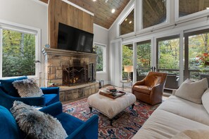 Smart TV, fireplace, books