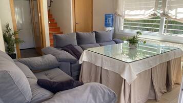 TV, fireplace, table tennis