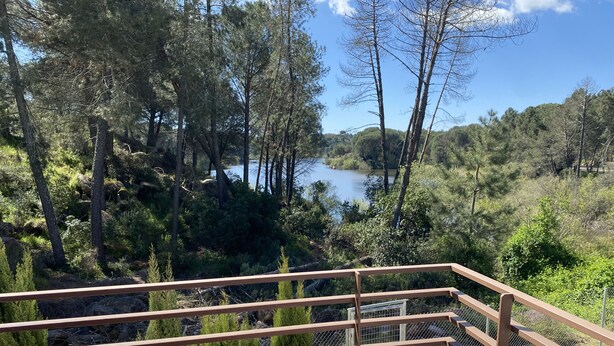 Un balcon avec vue sur une forêt et un lac.