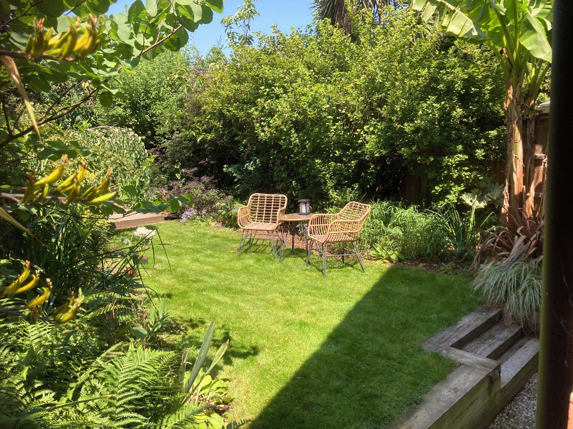 A garden with a wooden deck, wicker chairs, and a table.