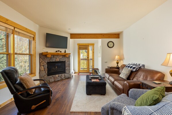 Fireplace, DVD player, video library