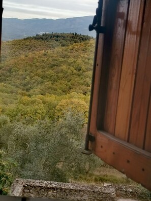 Vista desde la propiedad