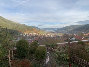 Property grounds - Apartment with a view (Baiersbronn)