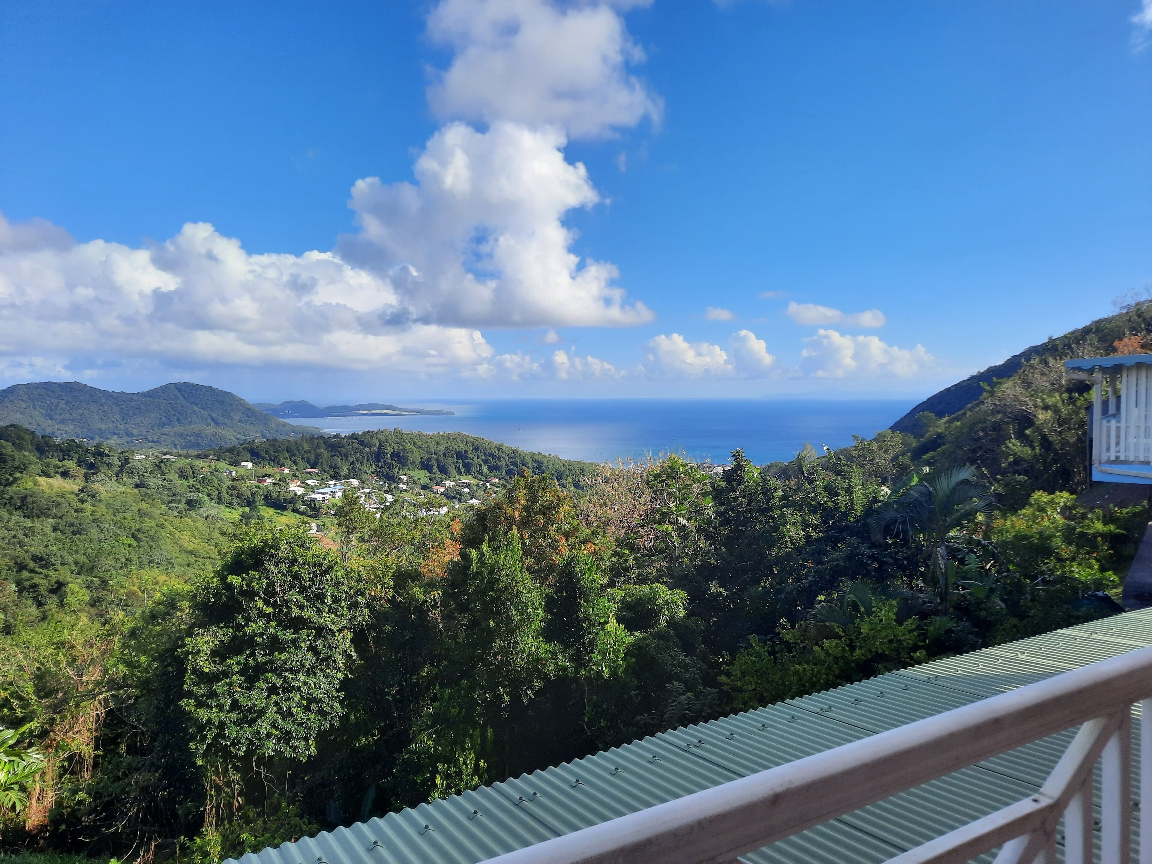 A coastal view with a green-roofed building, lush greenery, and a clear sky.