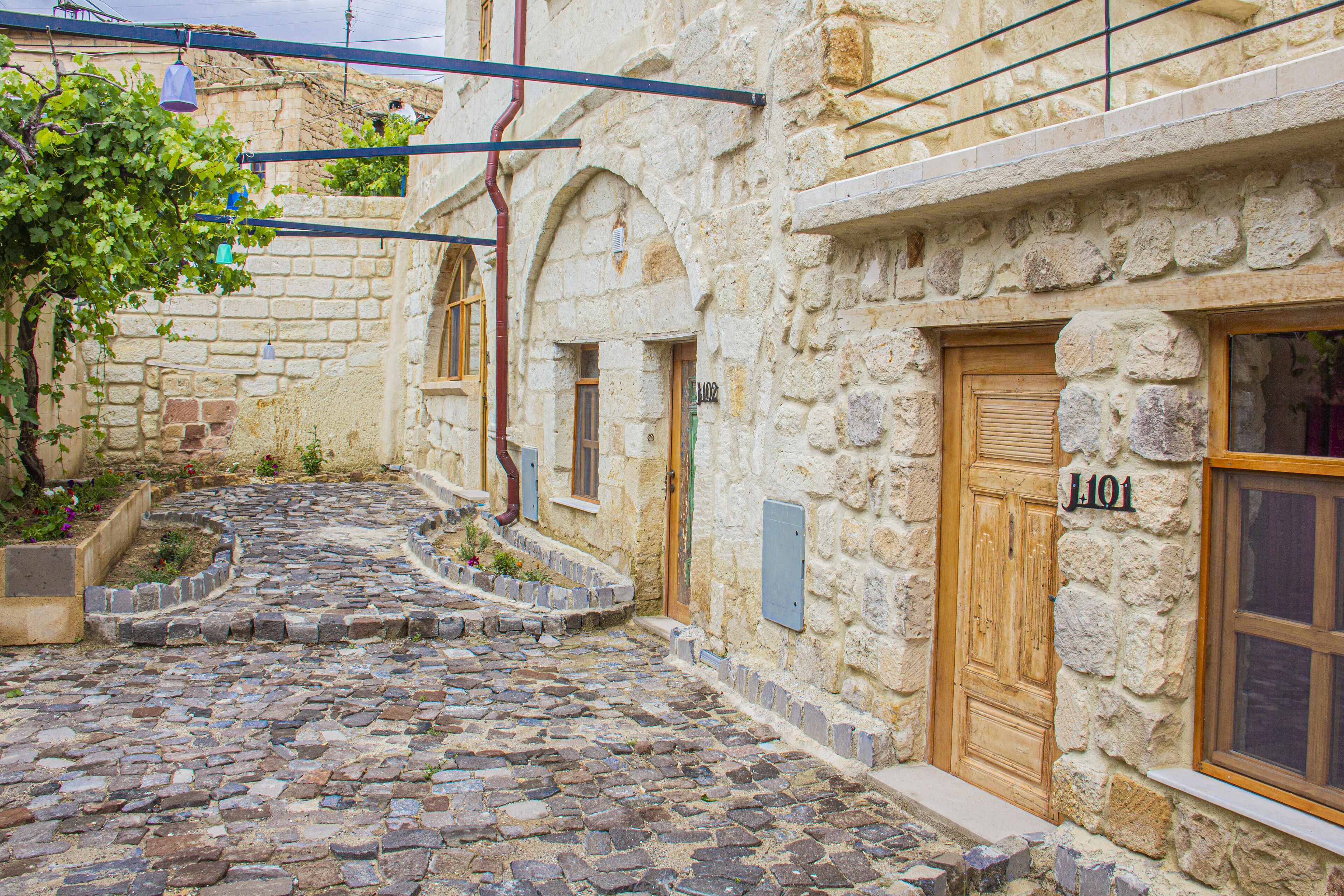 Útsýni yfir garðinn