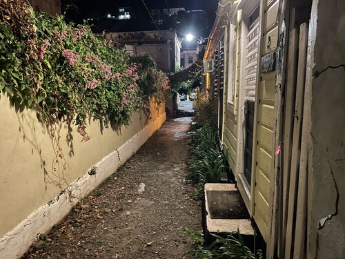 Historic Downtown St. Thomas Cottage - Spice House