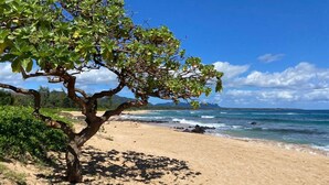 A beach with a tree, clear sky, and ocean. - Lae Nani 313, Great View Ground Floor (Kapaʻa)