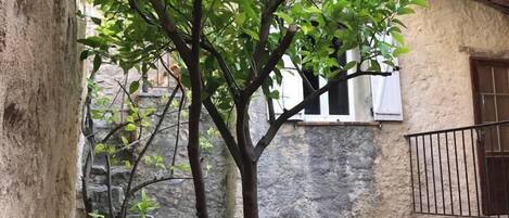 Detalle del exterior
