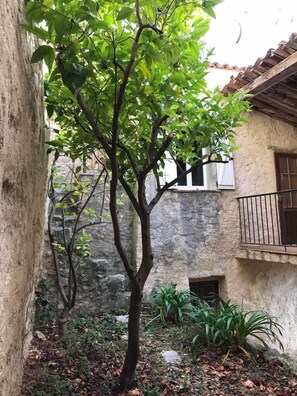 Détail de l’extérieur