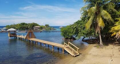 Steps from the Beach, Open Plan 1000 Sqft 1 Bed KING Bed A/C INCL.