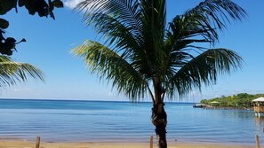 Beach nearby, beach towels - Steps from the Beach, Open Plan 1000 Sqft 1 Bed KING Bed A/C INCL. (Sandy Bay)