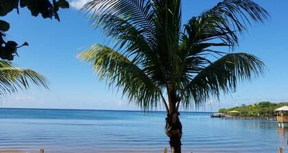 Steps from the Beach, Open Plan 1000 Sqft 1 Bed KING Bed A/C INCL.