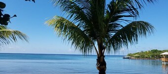 Steps from the Beach, Open Plan 1000 Sqft 1 Bed KING Bed A/C INCL.
