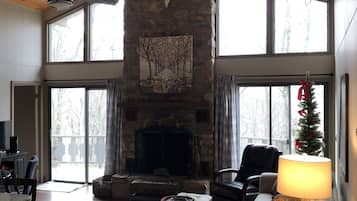 TV connectée, cheminée, lecteur de DVD, livres