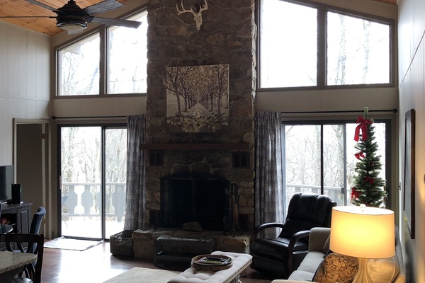 Smart TV, fireplace, DVD player, books