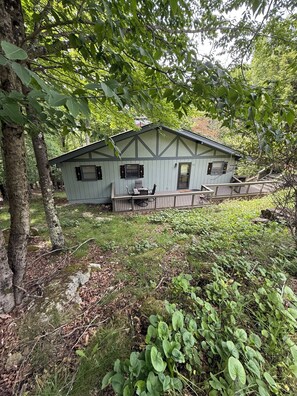 A rustic cabin with a porch, surrounded by dense greenery and trees.