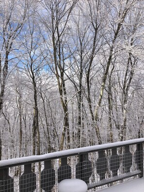 Property grounds - Chalet - 2 king bed, 2ba, Ski, Golf, Tennis, Hike, Mountain Bike, Fish.   (Beech Mountain)