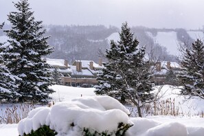 View from property - Blue Mountain (The Blue Mountains)