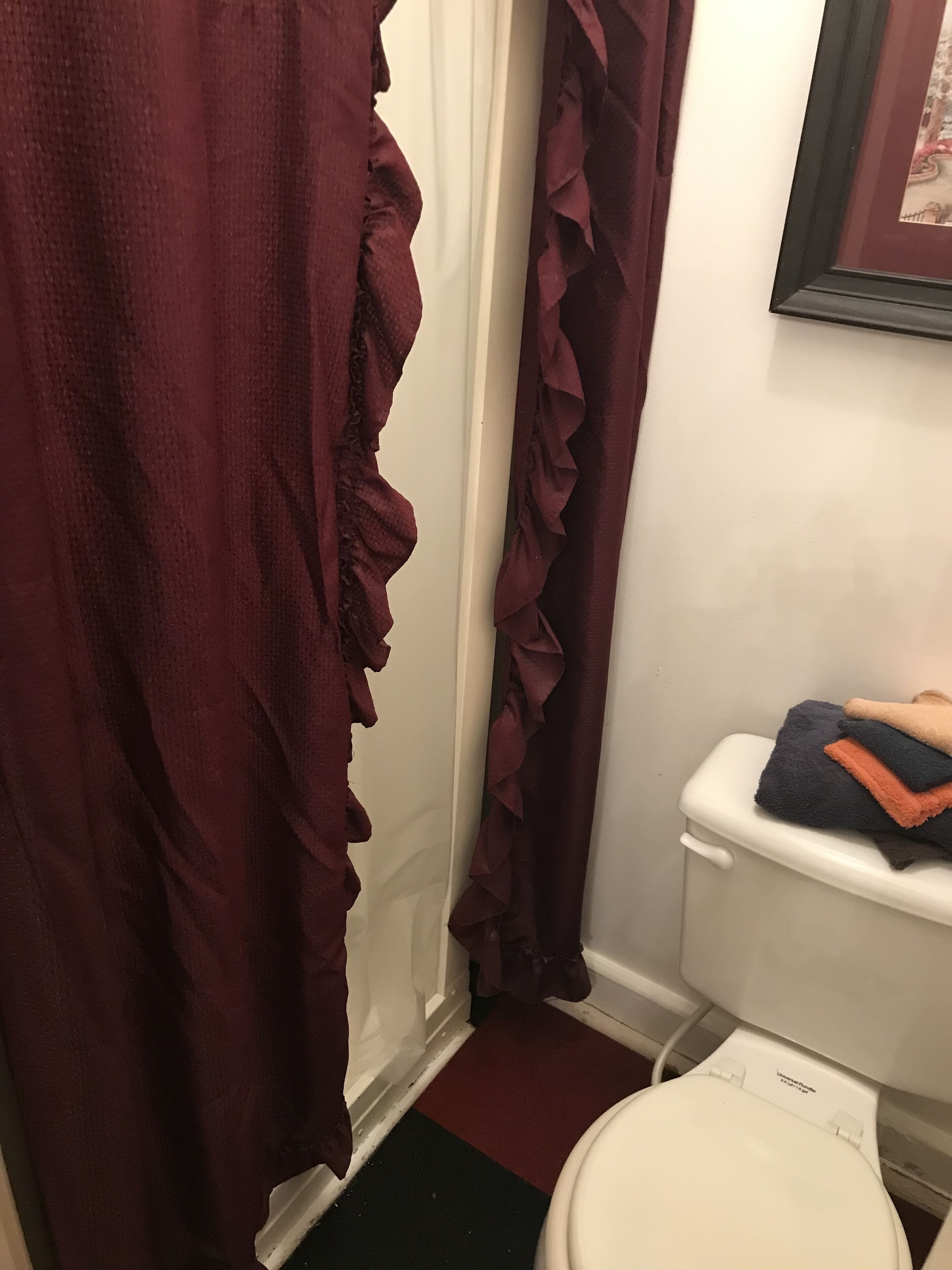 Un baño con un inodoro blanco, una cortina de ducha roja y un cuadro enmarcado en la pared.