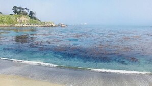 A beach with clear water, a sandy shore, and a rocky outcrop with trees in the background. - Backyard Playset Family Getaway Home STR25-000025 (Marina)