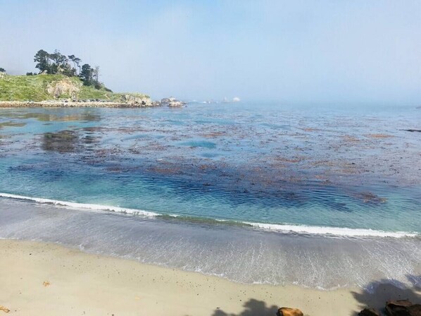 Playa en los alrededores 