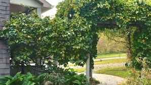 A stone staircase leading up to a wooden pergola covered with green foliage. - Dog-Friendly Cottage w/ Creek, Barn, Game Room, Fire Pit, Hot Tub, Sleeps 10 (Hillsville)