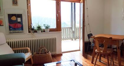 -Small apartment- Farm house accommodation with great mountain view
