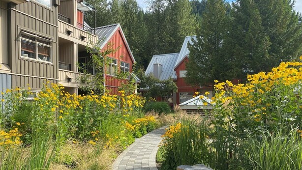 A pathway flanked by stone walls and yellow flowers leading to a building with a red roof. - 1BR | Lake Placid Lodge | Steps to Creekside Gondola | Shared Pool, Hot Tub, & Lounge (Whistler)