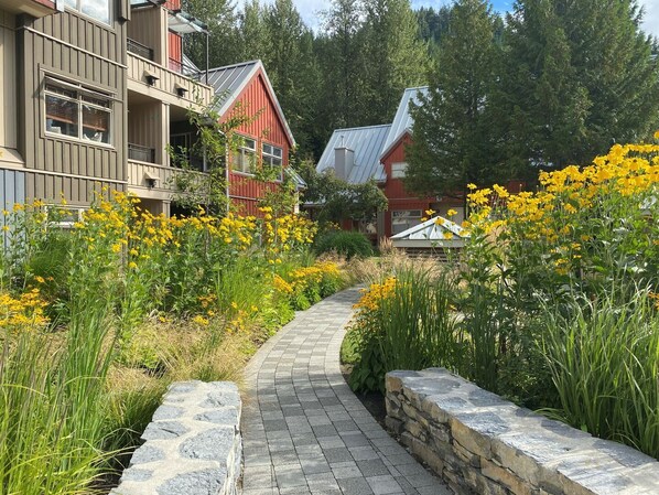 Enceinte de l’hébergement