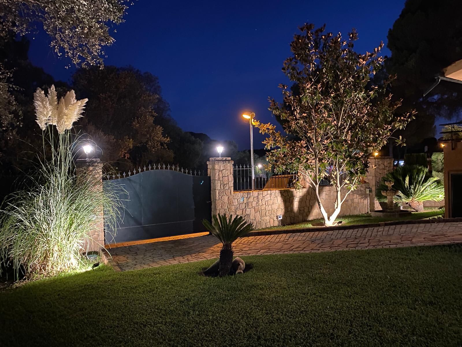 Jardines del alojamiento