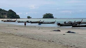 Una playa con barcos y una persona de pie.