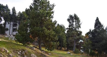 Charmant studio cabine avec terrasse et parking à Font-Romeu