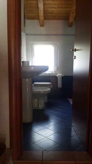 Shower, hair dryer, bidet